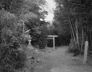 瀬木城跡